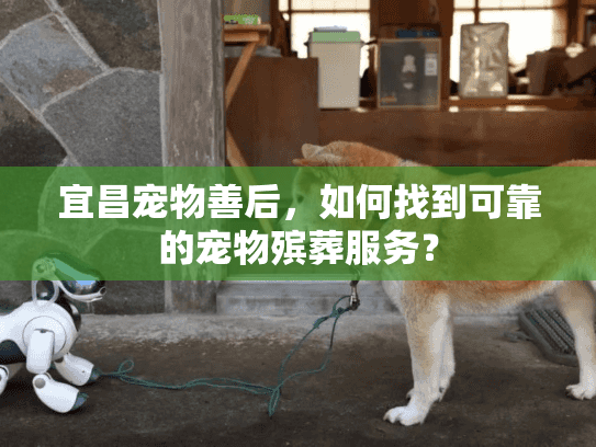 宜昌宠物善后,如何找到可靠的宠物殡葬服务? 宜昌宠物善后,如何找到可靠的宠物殡葬服务?
