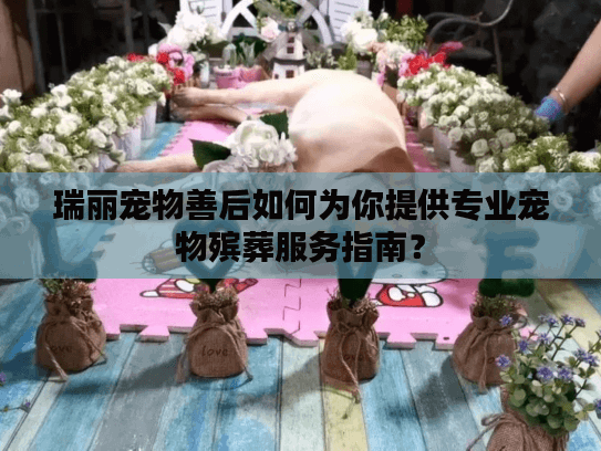 瑞丽宠物善后如何为你提供专业宠物殡葬服务指南？