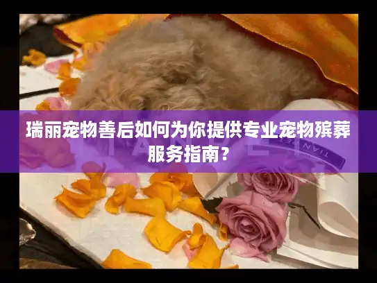 瑞丽宠物善后如何为你提供专业宠物殡葬服务指南？