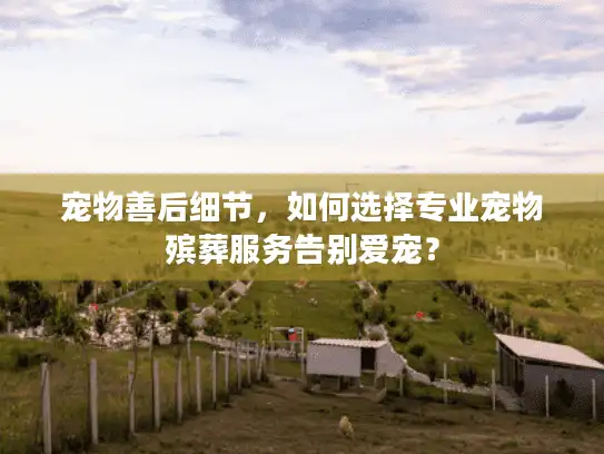 宠物善后细节，如何选择专业宠物殡葬服务告别爱宠？