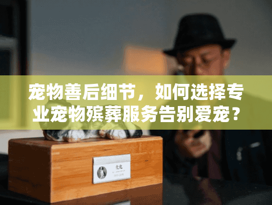 宠物善后细节，如何选择专业宠物殡葬服务告别爱宠？