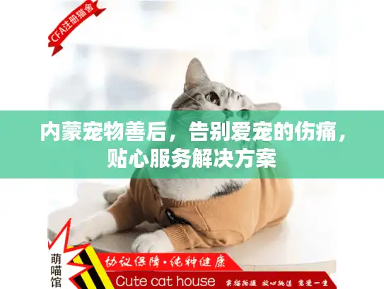 内蒙宠物善后，告别爱宠的伤痛，贴心服务解决方案