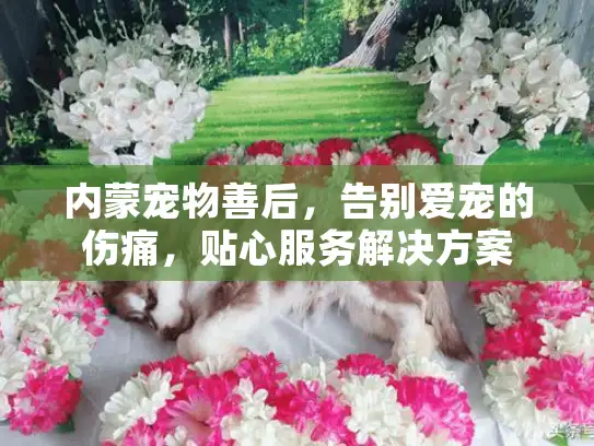 内蒙宠物善后，告别爱宠的伤痛，贴心服务解决方案