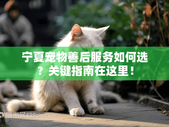 宁夏宠物善后服务如何选?关键指南在这里! 宁夏宠物善后服务如何选?关键指南在这里!