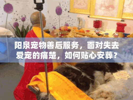 阳泉宠物善后服务，面对失去爱宠的痛楚，如何贴心安葬？