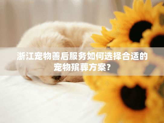 浙江宠物善后服务如何选择合适的宠物殡葬方案? 浙江宠物善后服务如何选择合适的宠物殡葬方案?