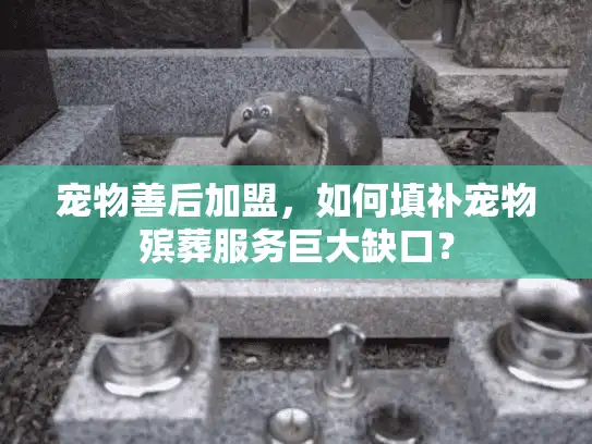 宠物善后加盟，如何填补宠物殡葬服务巨大缺口？