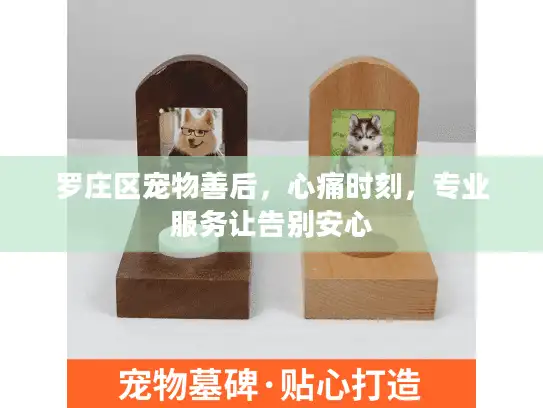 罗庄区宠物善后,心痛时刻,专业服务让告别安心 罗庄区宠物善后,心痛时刻,专业服务让告别安心