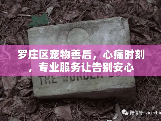 罗庄区宠物善后,心痛时刻,专业服务让告别安心 罗庄区宠物善后,心痛时刻,专业服务让告别安心