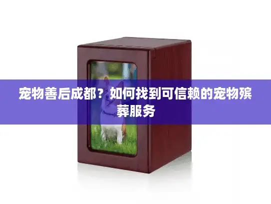 宠物善后成都?如何找到可信赖的宠物殡葬服务 宠物善后成都?如何找到可信赖的宠物殡葬服务