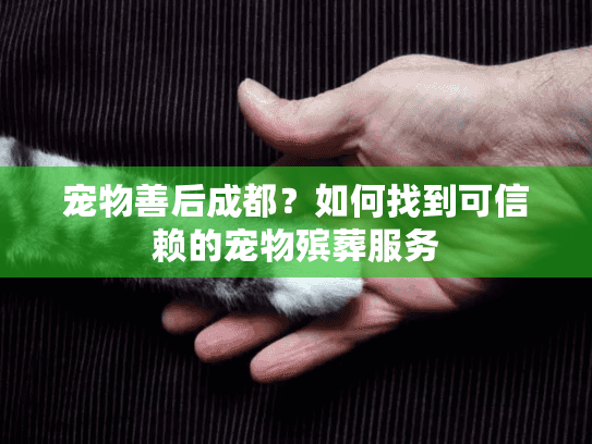 宠物善后成都?如何找到可信赖的宠物殡葬服务 宠物善后成都?如何找到可信赖的宠物殡葬服务