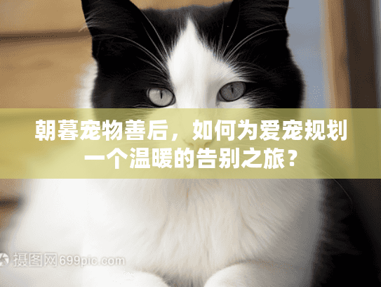 朝暮宠物善后，如何为爱宠规划一个温暖的告别之旅？