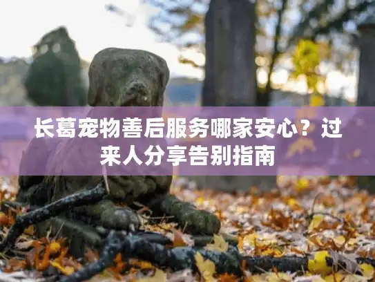 长葛宠物善后服务哪家安心？过来人分享告别指南