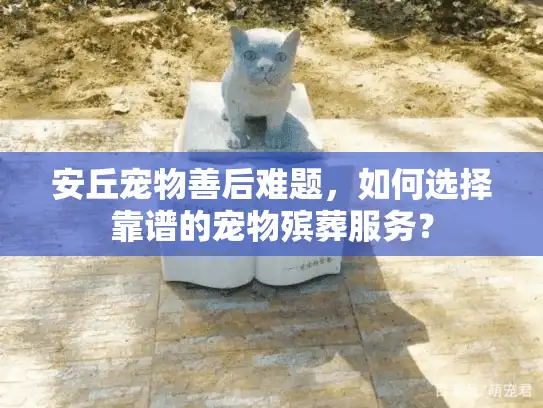 安丘宠物善后难题,如何选择靠谱的宠物殡葬服务? 安丘宠物善后难题,如何选择靠谱的宠物殡葬服务?
