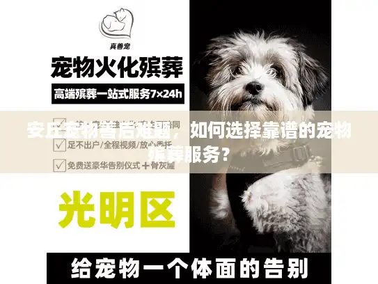 安丘宠物善后难题,如何选择靠谱的宠物殡葬服务? 安丘宠物善后难题,如何选择靠谱的宠物殡葬服务?