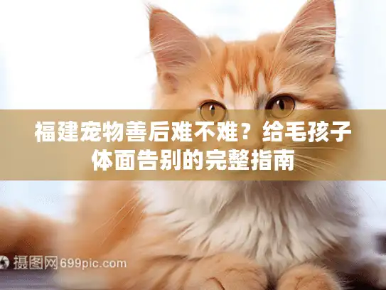 福建宠物善后难不难？给毛孩子体面告别的完整指南