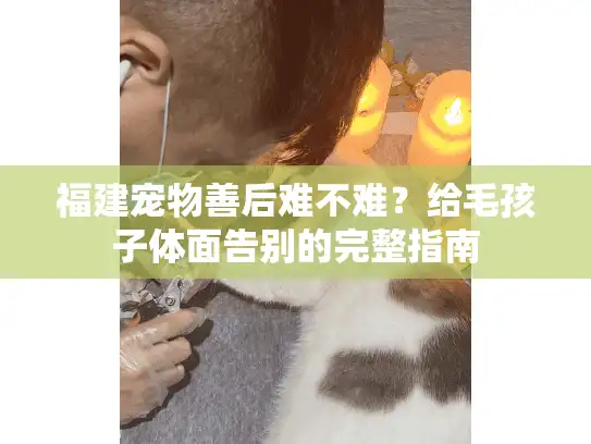 福建宠物善后难不难？给毛孩子体面告别的完整指南