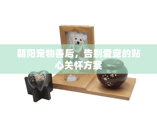 朝阳宠物善后，告别爱宠的贴心关怀方案