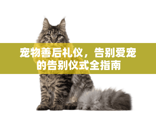 宠物善后礼仪,告别爱宠的告别仪式全指南 宠物善后礼仪,告别爱宠的告别仪式全指南