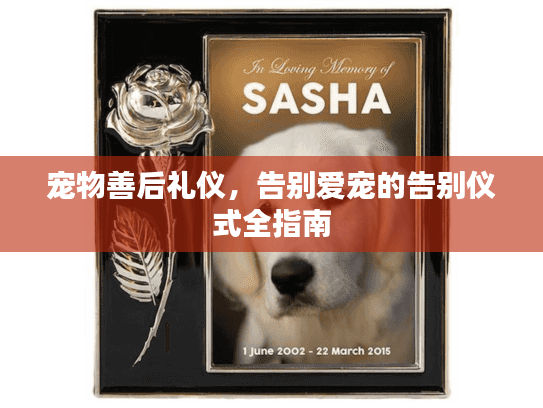 宠物善后礼仪,告别爱宠的告别仪式全指南 宠物善后礼仪,告别爱宠的告别仪式全指南