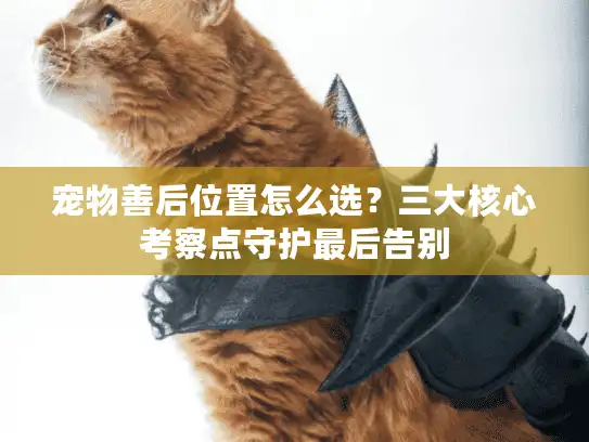 宠物善后位置怎么选?三大核心考察点守护最后告别 宠物善后位置怎么选?三大核心考察点守护最后告别