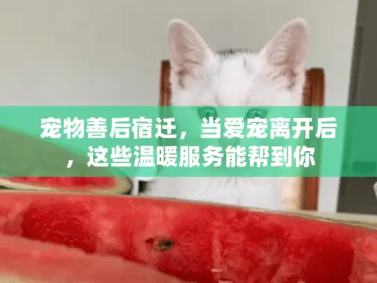宠物善后宿迁,当爱宠离开后,这些温暖服务能帮到你 宠物善后宿迁,当爱宠离开后,这些温暖服务能帮到你