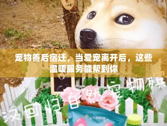 宠物善后宿迁,当爱宠离开后,这些温暖服务能帮到你 宠物善后宿迁,当爱宠离开后,这些温暖服务能帮到你