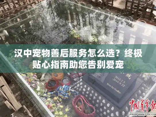 汉中宠物善后服务怎么选？终极贴心指南助您告别爱宠
