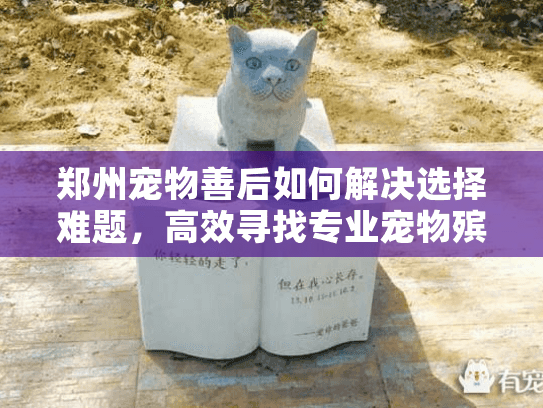 郑州宠物善后如何解决选择难题，高效寻找专业宠物殡葬服务