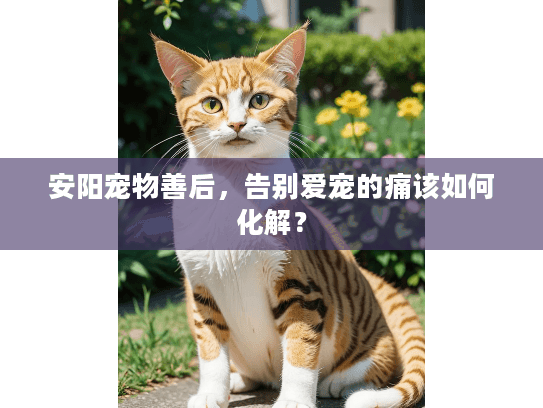 安阳宠物善后，告别爱宠的痛该如何化解？