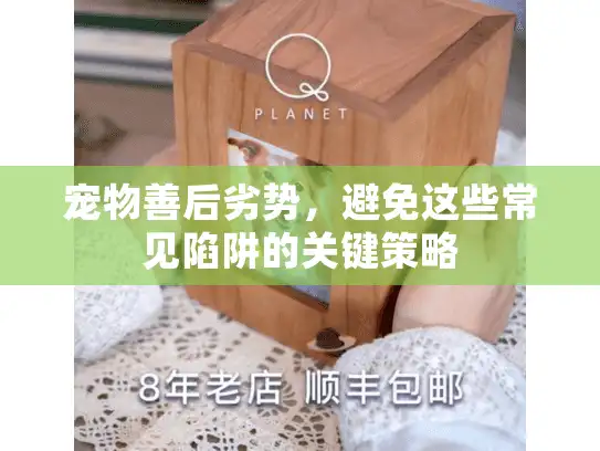 宠物善后劣势，避免这些常见陷阱的关键策略