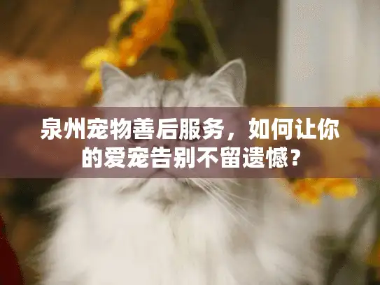 泉州宠物善后服务，如何让你的爱宠告别不留遗憾？