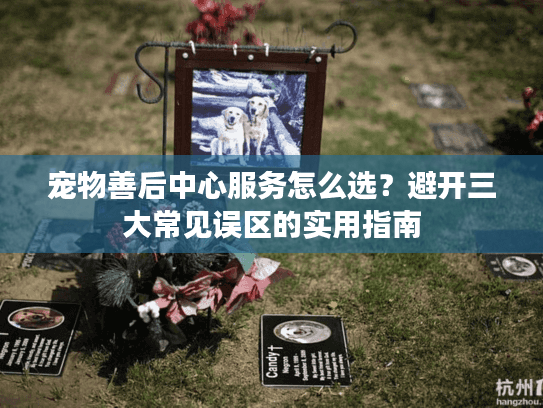 宠物善后中心服务怎么选？避开三大常见误区的实用指南