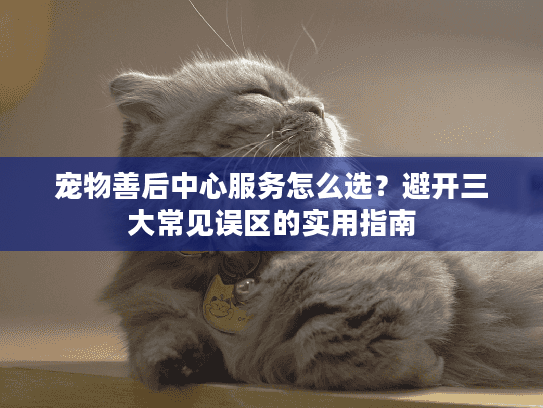 宠物善后中心服务怎么选？避开三大常见误区的实用指南