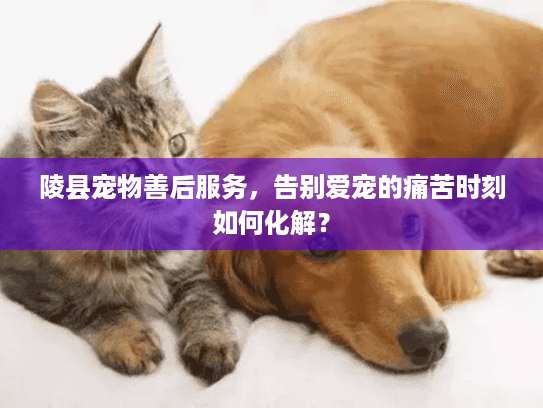 陵县宠物善后服务，告别爱宠的痛苦时刻如何化解？
