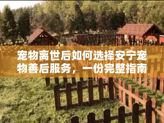 宠物离世后如何选择安宁宠物善后服务，一份完整指南