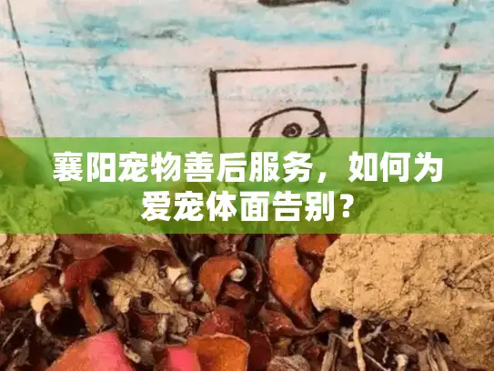 襄阳宠物善后服务,如何为爱宠体面告别? 襄阳宠物善后服务,如何为爱宠体面告别?