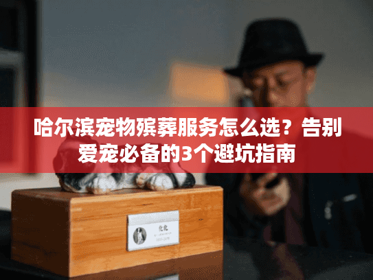 哈尔滨宠物殡葬服务怎么选？告别爱宠必备的3个避坑指南