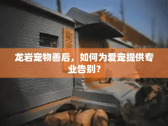 龙岩宠物善后，如何为爱宠提供专业告别？