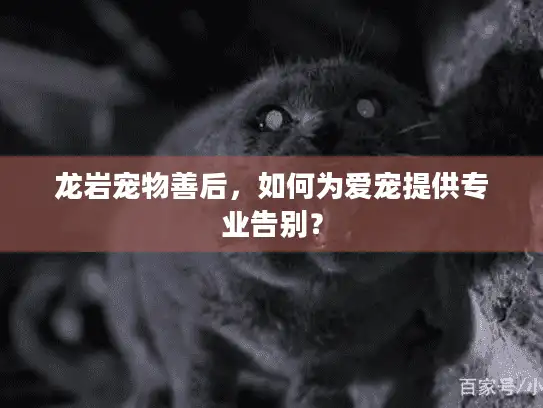 龙岩宠物善后，如何为爱宠提供专业告别？