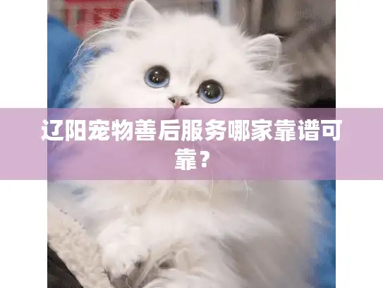 辽阳宠物善后服务哪家靠谱可靠？