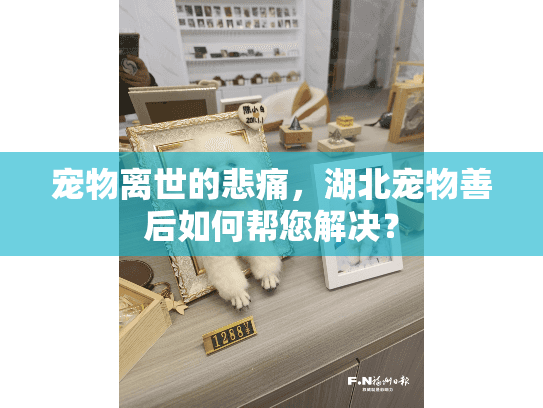 宠物离世的悲痛,湖北宠物善后如何帮您解决? 宠物离世的悲痛,湖北宠物善后如何帮您解决?