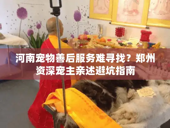 河南宠物善后服务难寻找？郑州资深宠主亲述避坑指南