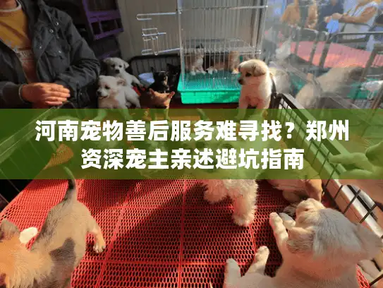 河南宠物善后服务难寻找？郑州资深宠主亲述避坑指南