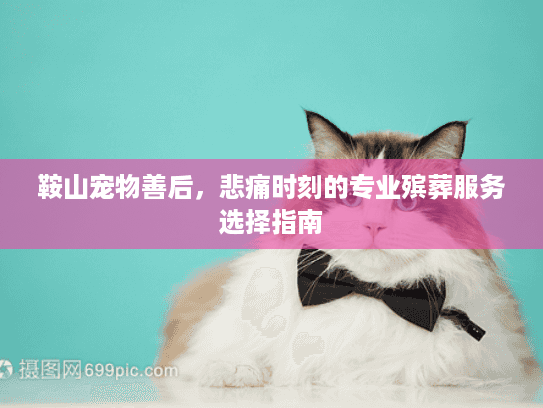 鞍山宠物善后,悲痛时刻的专业殡葬服务选择指南 鞍山宠物善后,悲痛时刻的专业殡葬服务选择指南