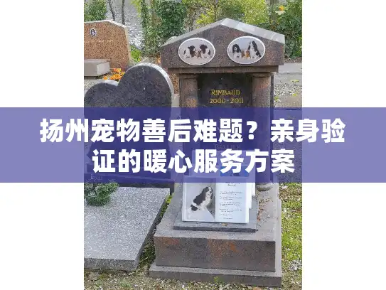 扬州宠物善后难题？亲身验证的暖心服务方案