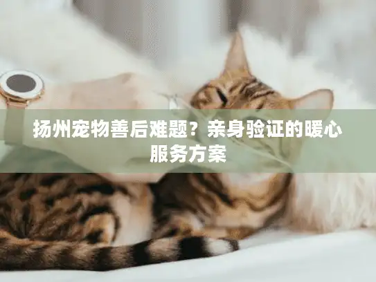 扬州宠物善后难题？亲身验证的暖心服务方案