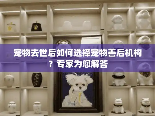 宠物去世后如何选择宠物善后机构？专家为您解答