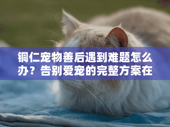 铜仁宠物善后遇到难题怎么办？告别爱宠的完整方案在这里