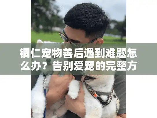 铜仁宠物善后遇到难题怎么办？告别爱宠的完整方案在这里